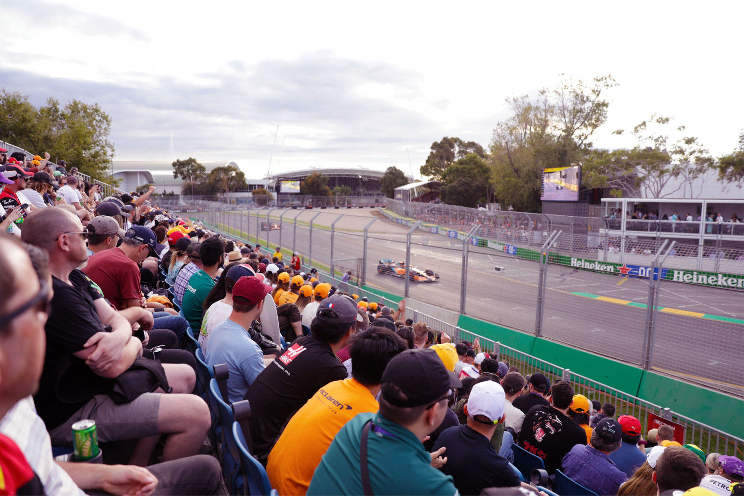 Australian GP Ricciardo
