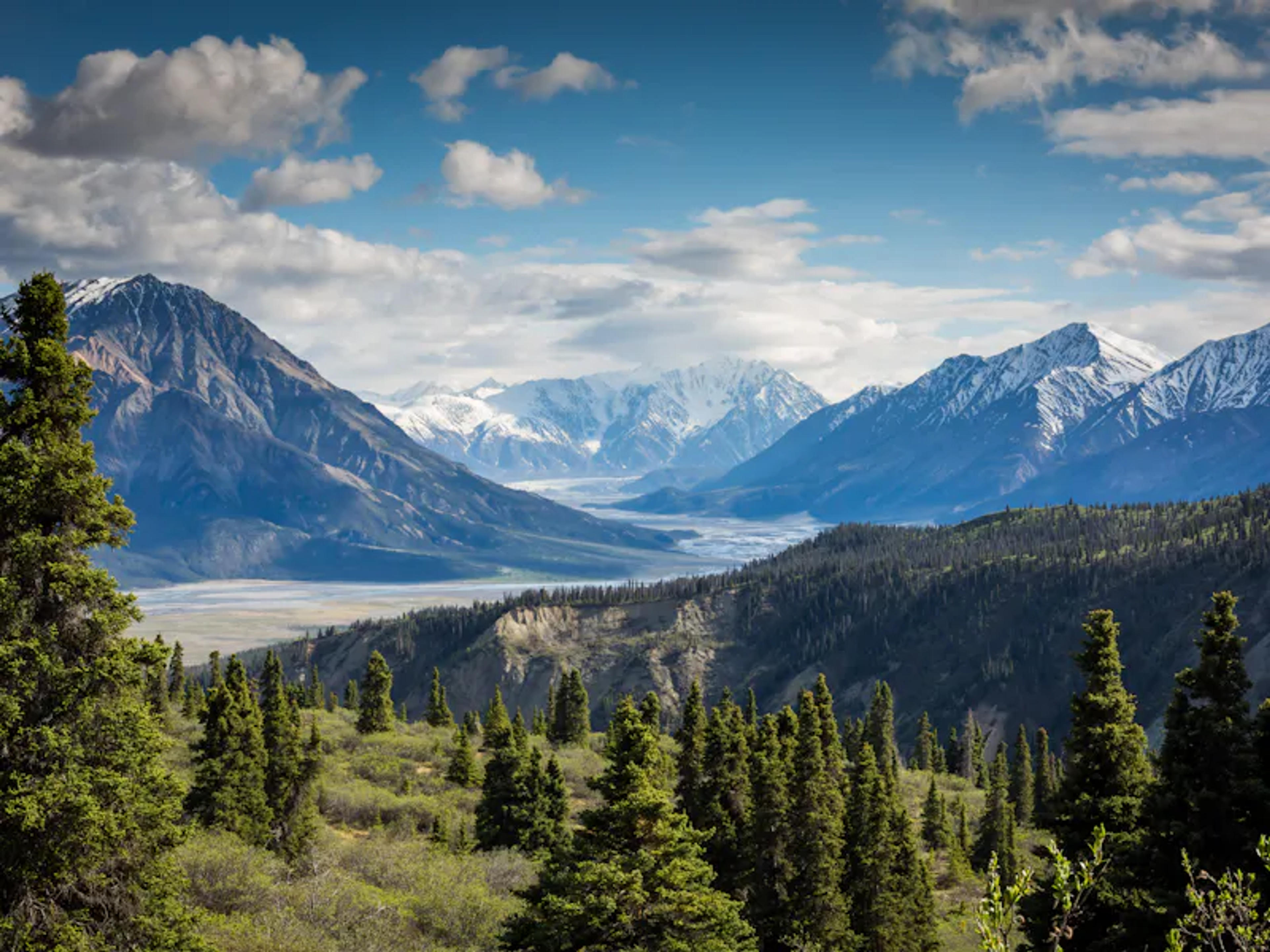 Green forested valley with snow-covered mountain peaks beyond