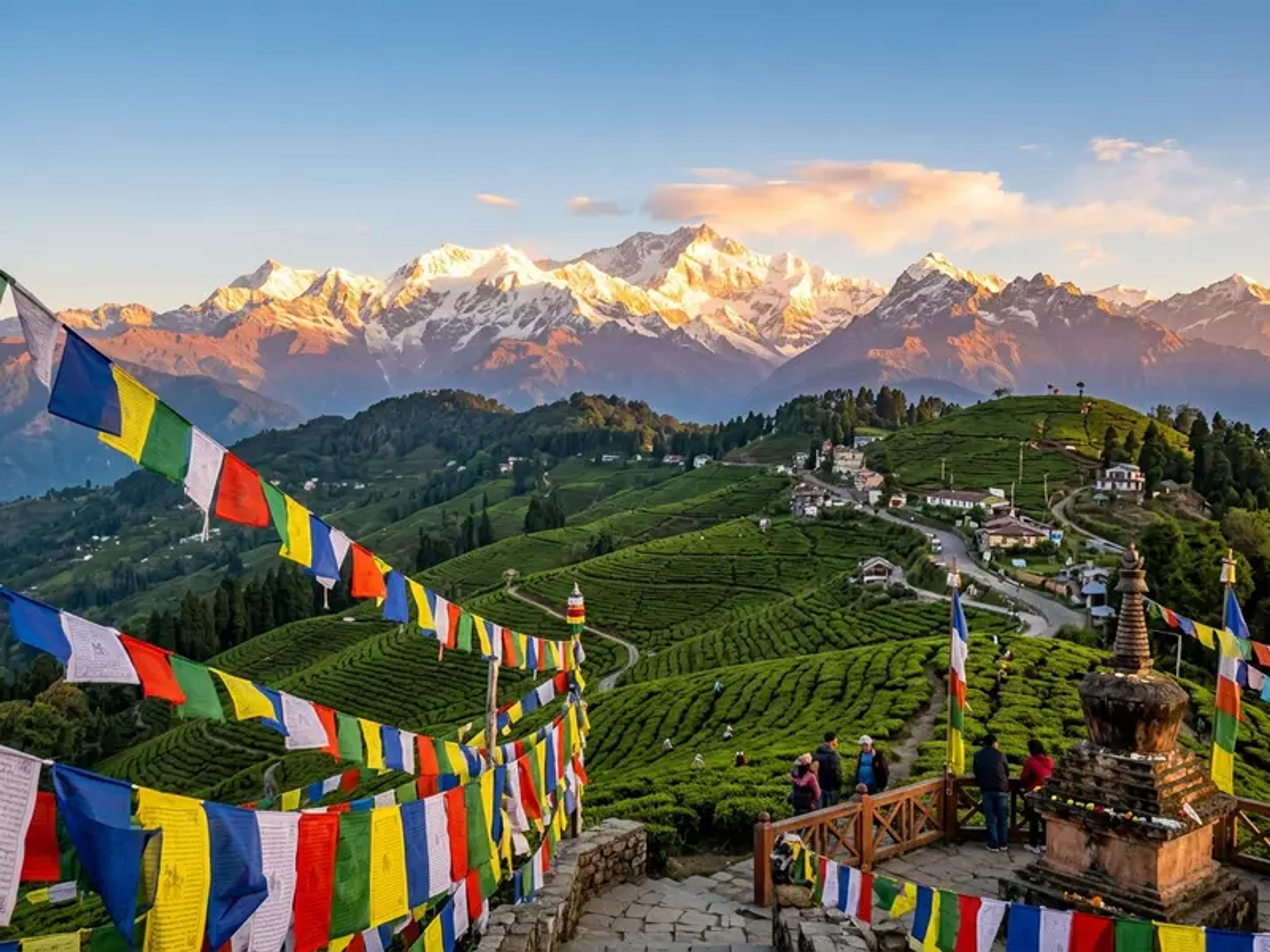 Mt Kanchenjunga peaks over tea gardens with prayer flags in Sikkim and Darjeeling