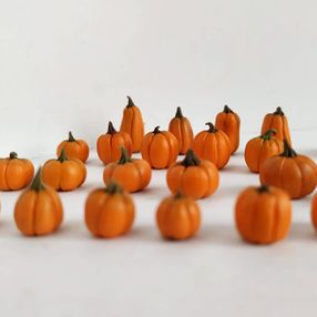 halloween,autumn,