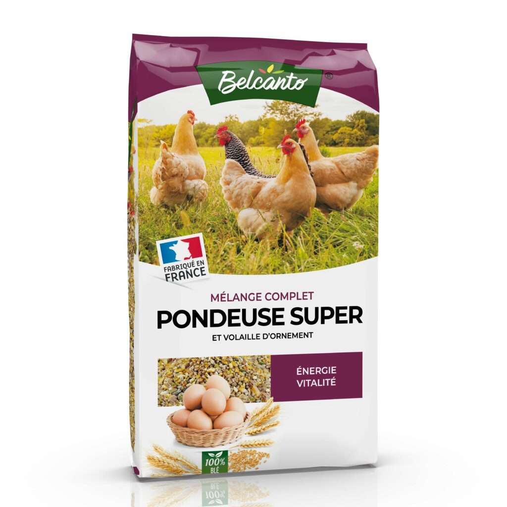 Mélange de graines pour poules - 20 kg