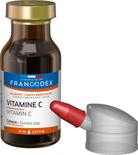 La carence en vitamine C chez le cobaye - WanimoVéto