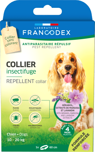 Collier insectifuge pour chien