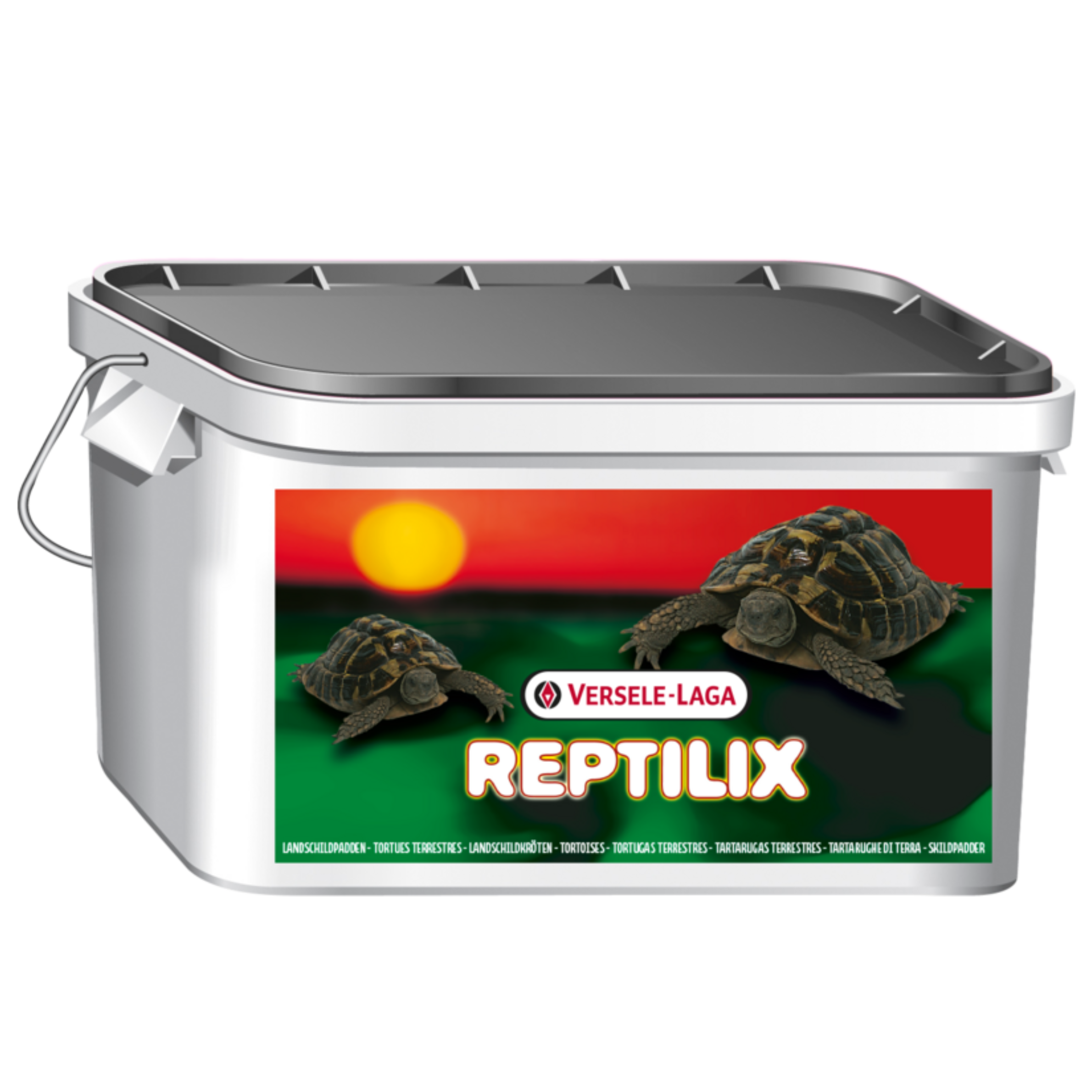 LISTE DE NOURRITURE TORTUES TERRESTRES  Nourriture tortue terrestre, Alimentation  tortue, Tortues terrestres