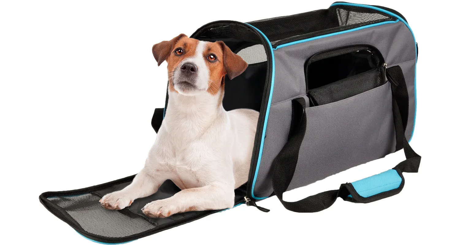 Sac à dos pour chien kangoo - JMT Alimentation Animale