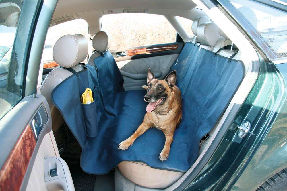 Couverture de protection pour voiture Economy Kerbl - Niche à chien