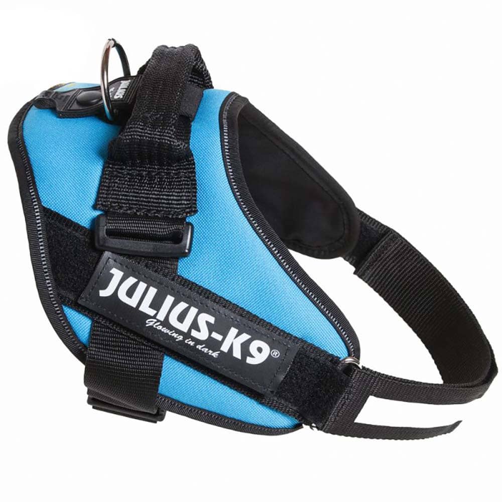 Julius-k9 harnais IDC Power Aquamarin - JMT Alimentation Animale