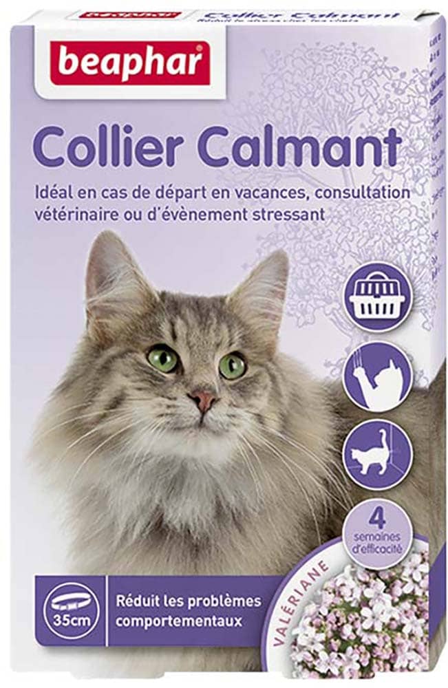 Wabjtam Petite balance pour animaux de compagnie pour chat et