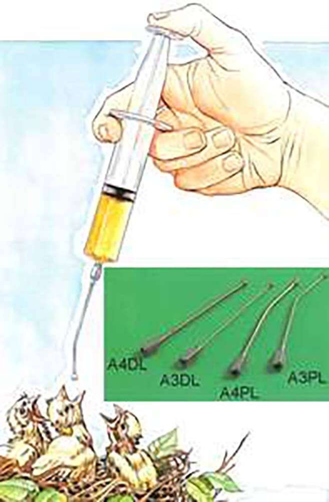 seringue gavage cede - JMT Alimentation Animale