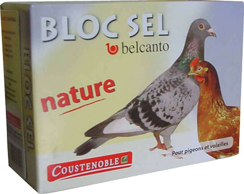 Bloc sel minéraux pour oiseaux