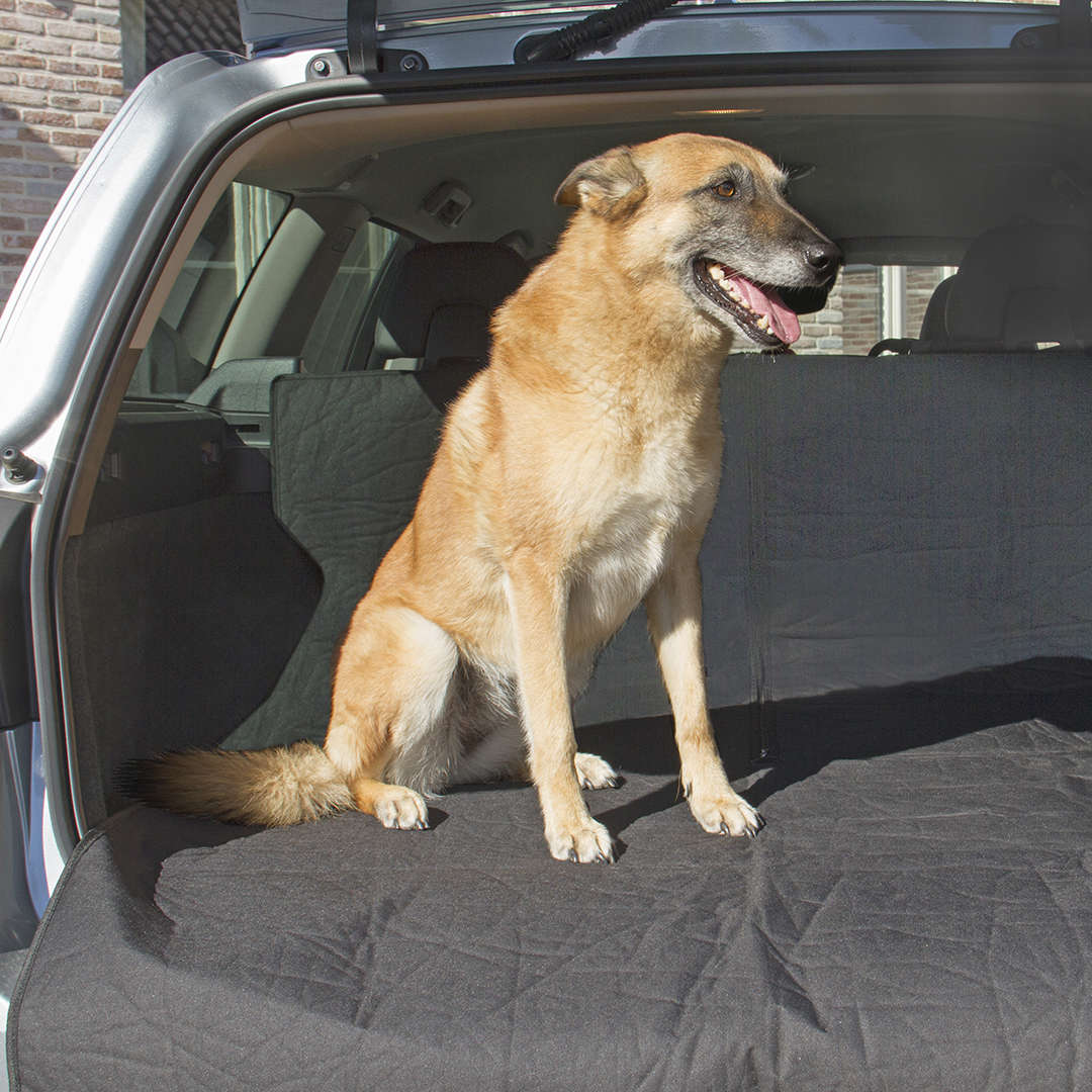 Kurgo Protection de coffre Cargo Cape pour chien - JMT Alimentation Animale