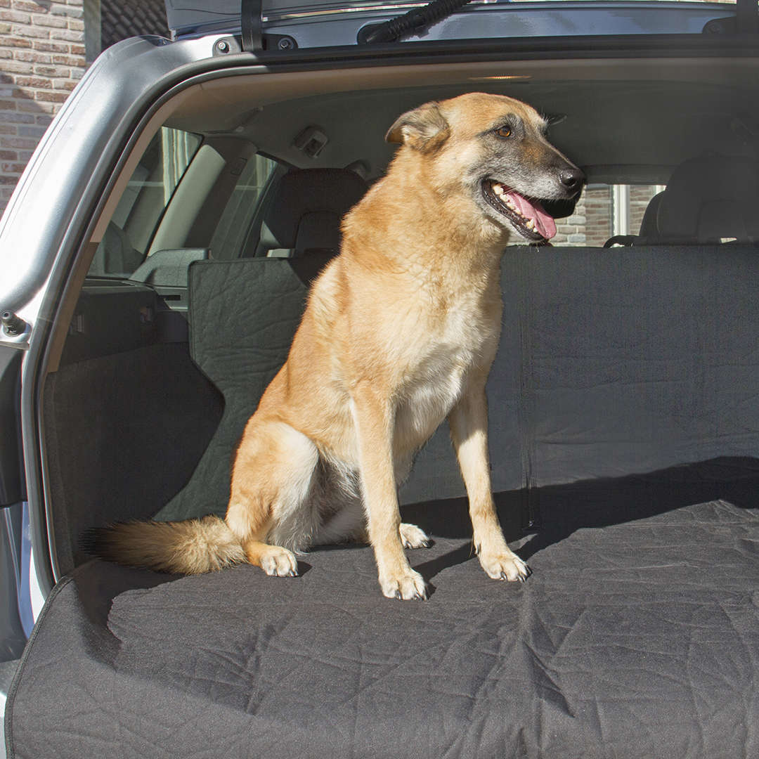 Protection Coffre Voiture Chien Universelle,Couverture de Coffre