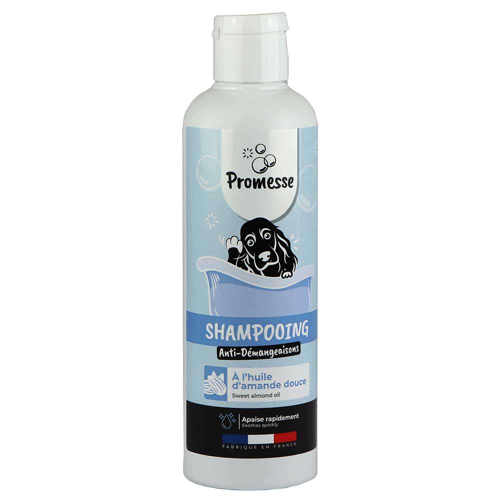 shampooing pour chien
