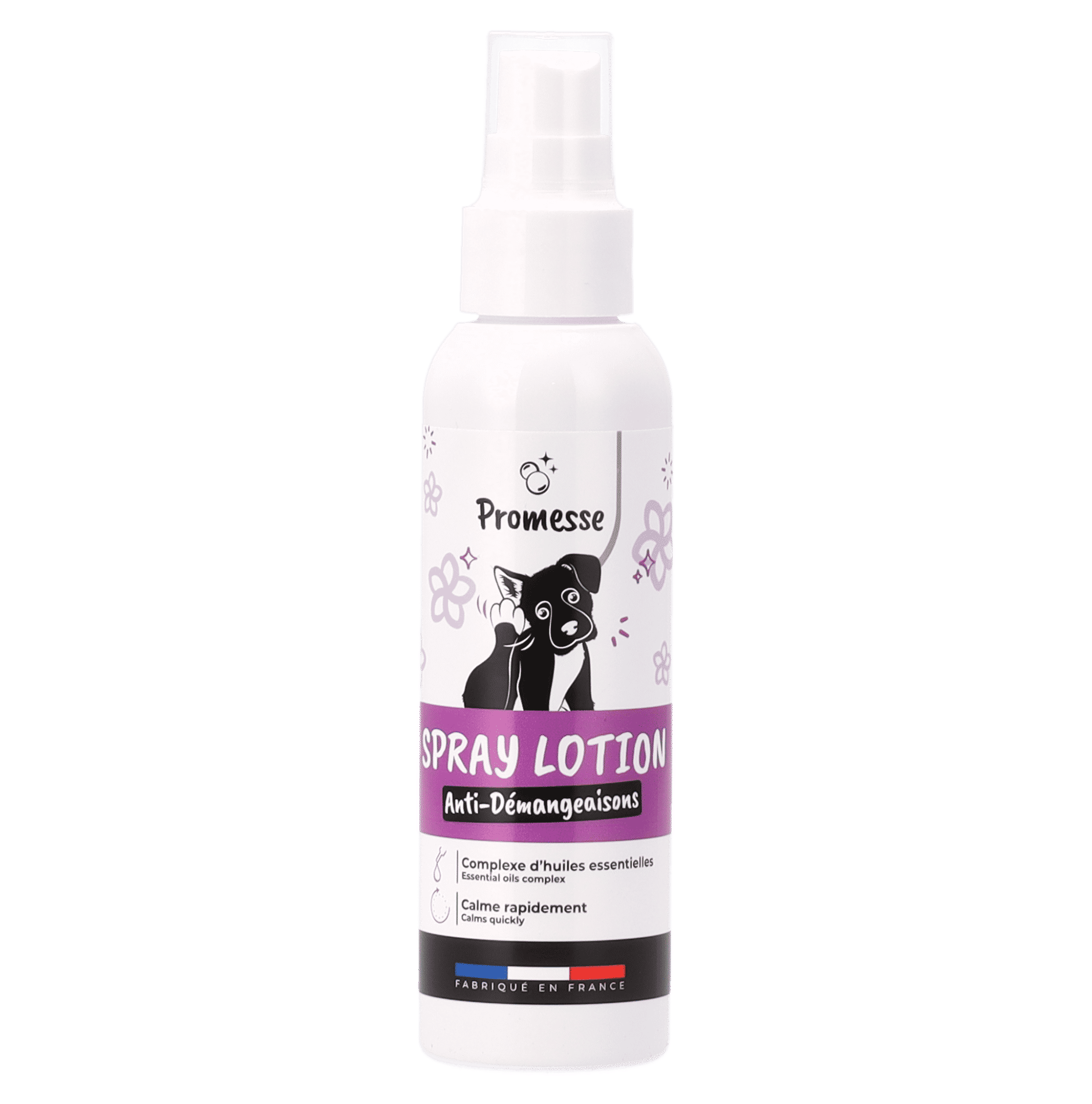 image of the product