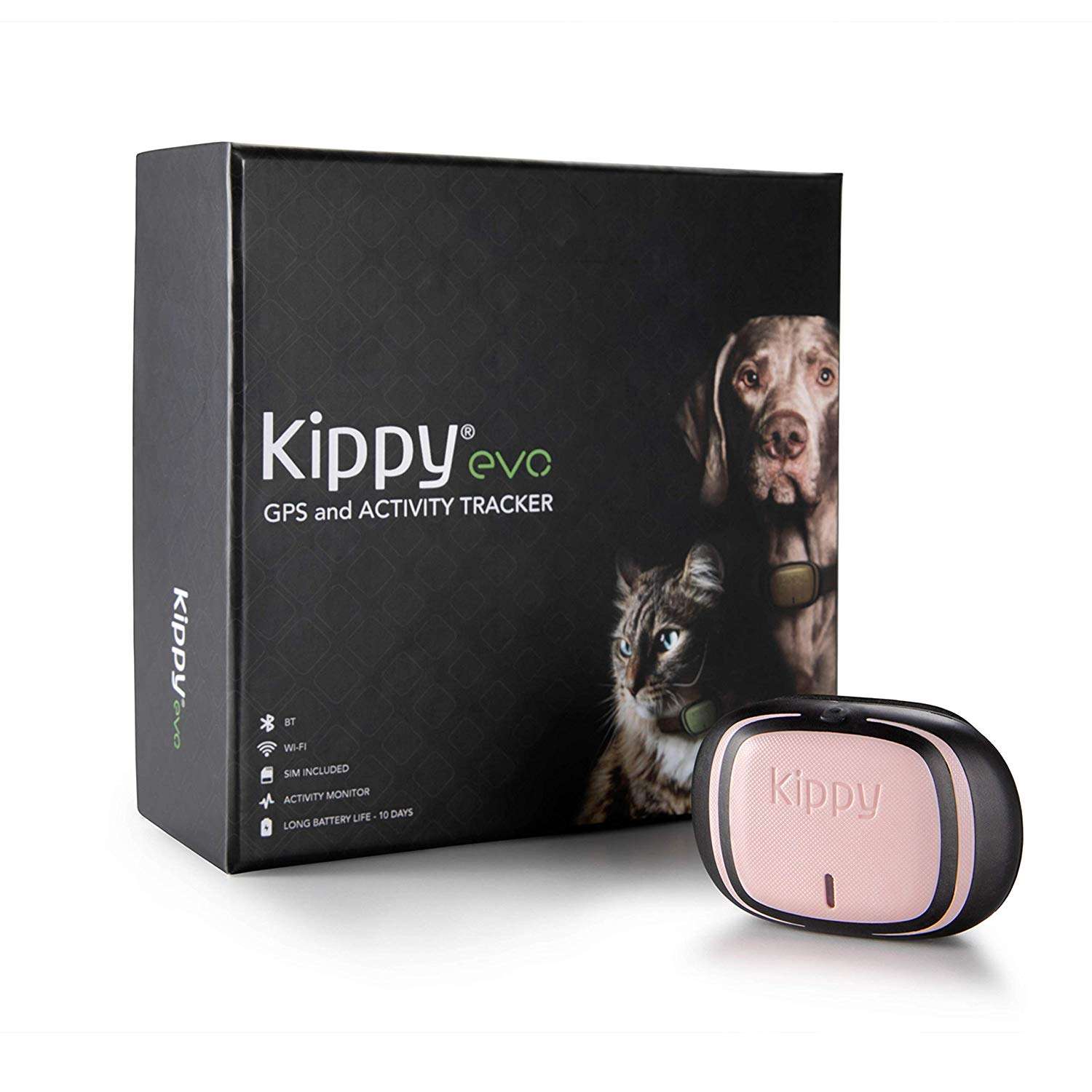 Collier GPS/moniteur d'activité Kippy Evo pour chien et chat -  placedesvetos.com