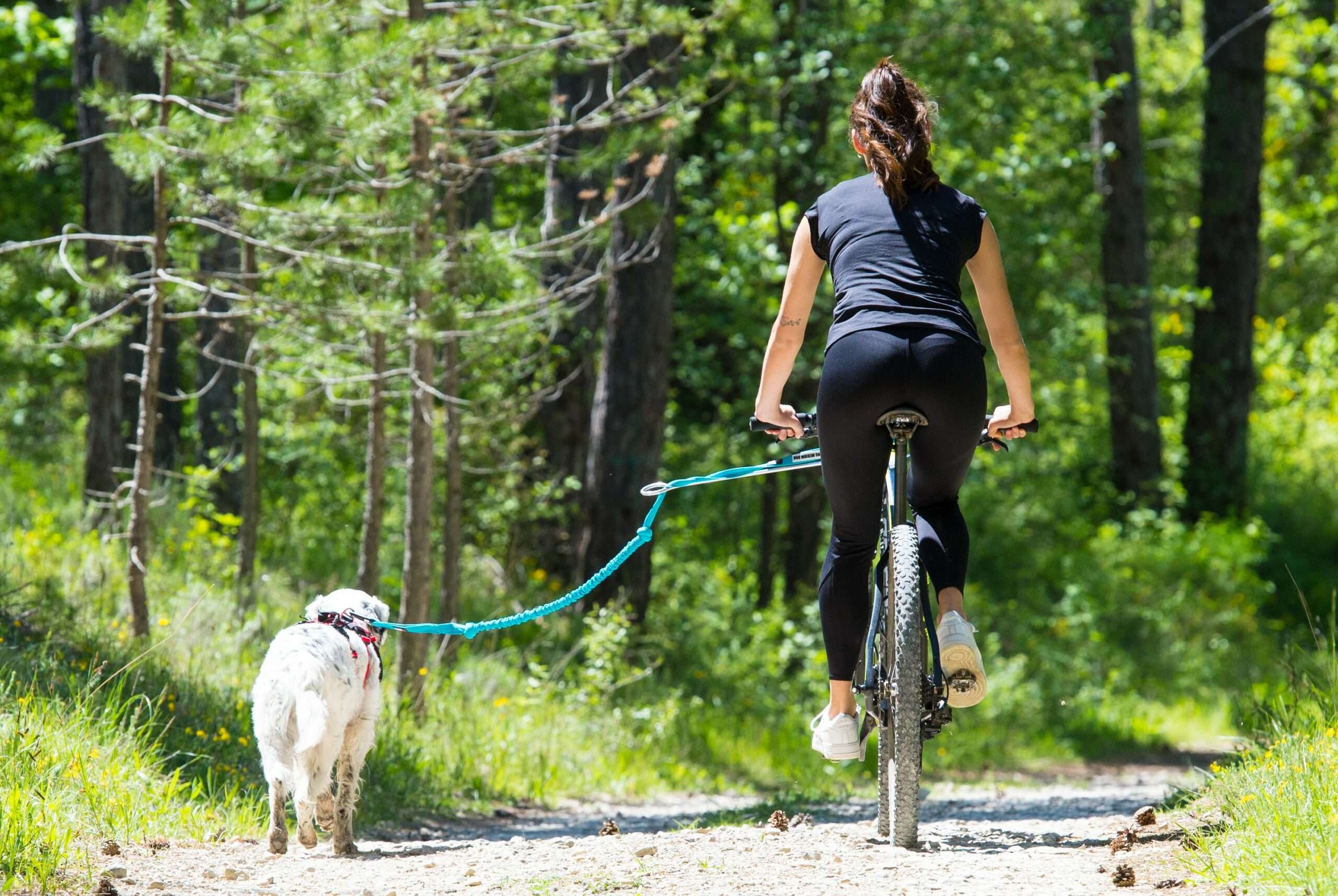 I-DOG Barre VTT Link ALM Déport - JMT Alimentation Animale