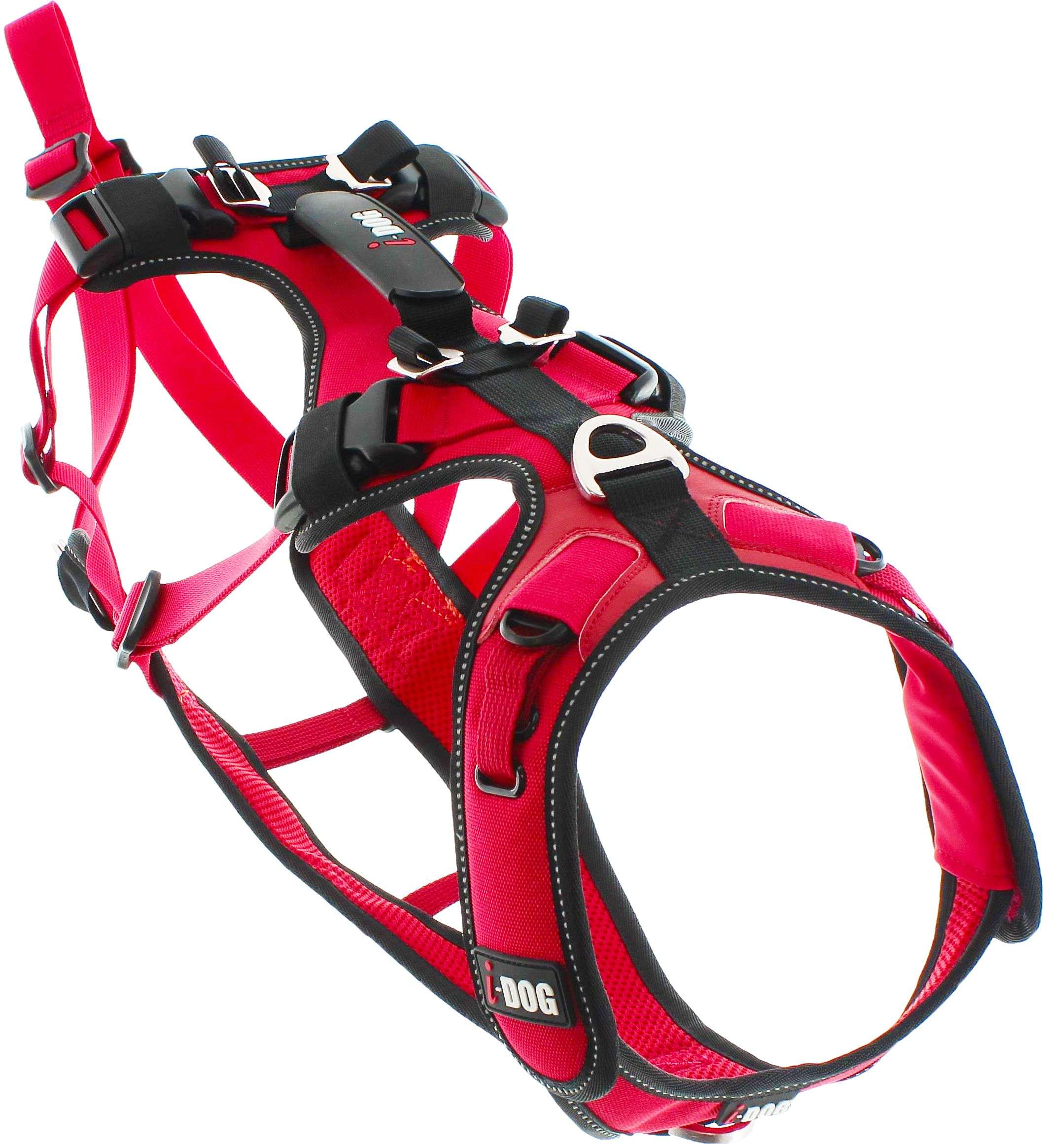 I-Dog - I DOG Harnais Canicross - Taille L - Violet - Pour chien -  Equipement de transport pour chien - Rue du Commerce