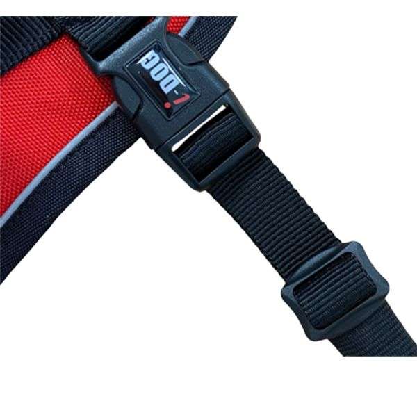 Laisse + ceinture canicross - JMT Alimentation Animale