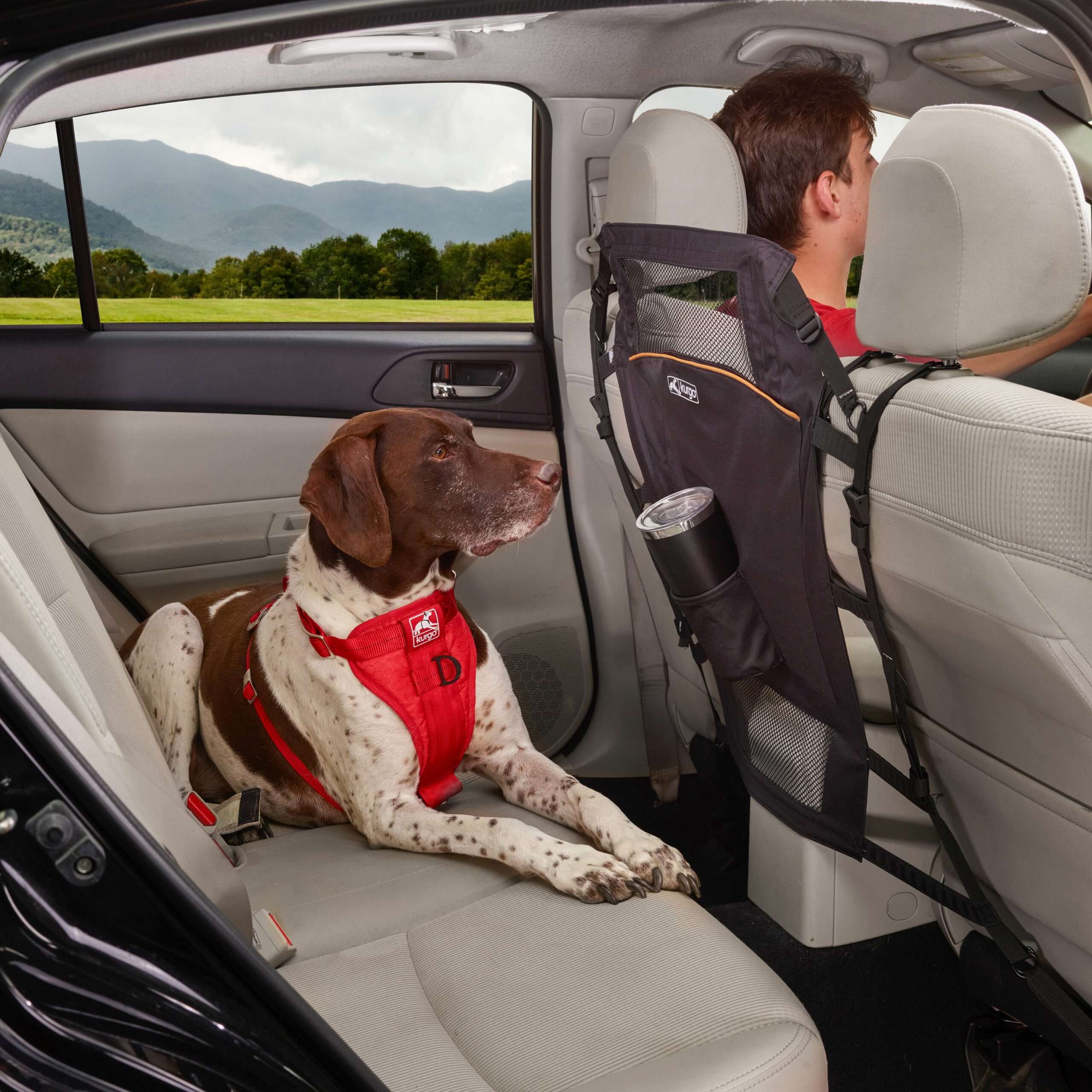 Barrière backseat pour animaux domestiques : Transport du chien