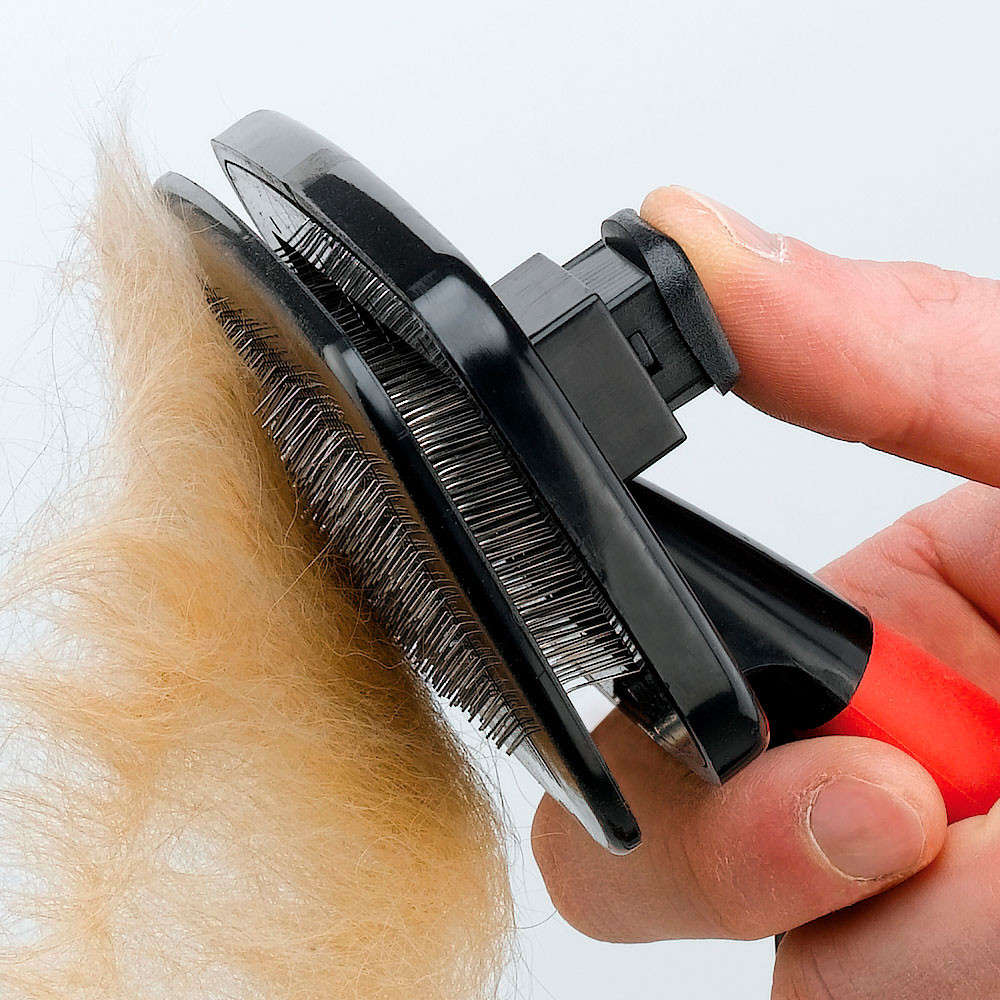 Brosse pour chien poil long - Carde main image 1
