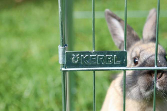 Parc lapin castle - JMT Alimentation Animale