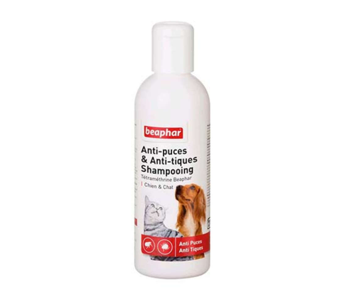 Anti-puce chien : antiparasitaire et anti-tique