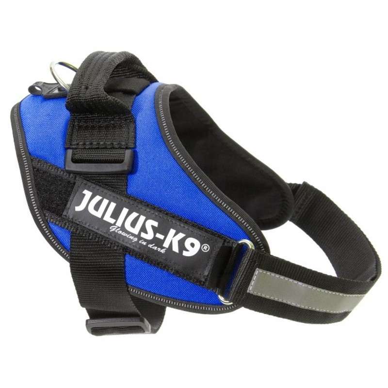 Harnais pour chien bleu Julius K9, Haute qualité