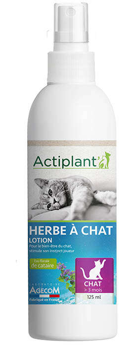 Actiplant' herbe a chat 125ml 