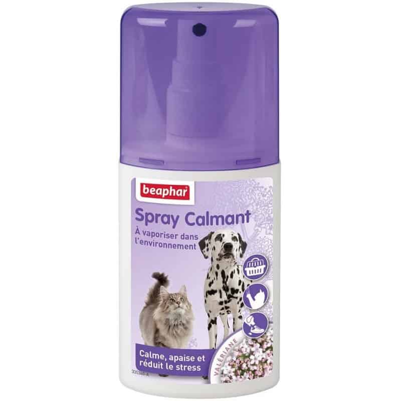 PROMESSE SPRAY HERBE A CHAT - JMT Alimentation Animale