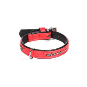 Laisse + ceinture canicross - JMT Alimentation Animale