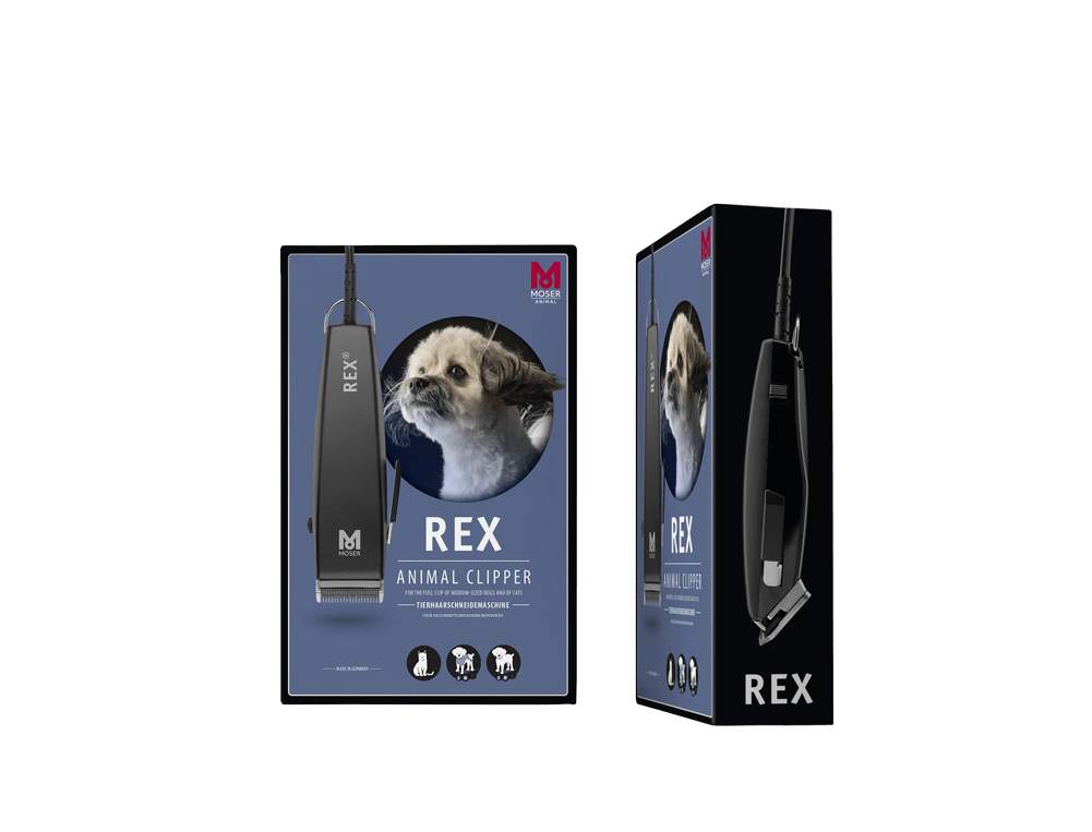 brosse chien