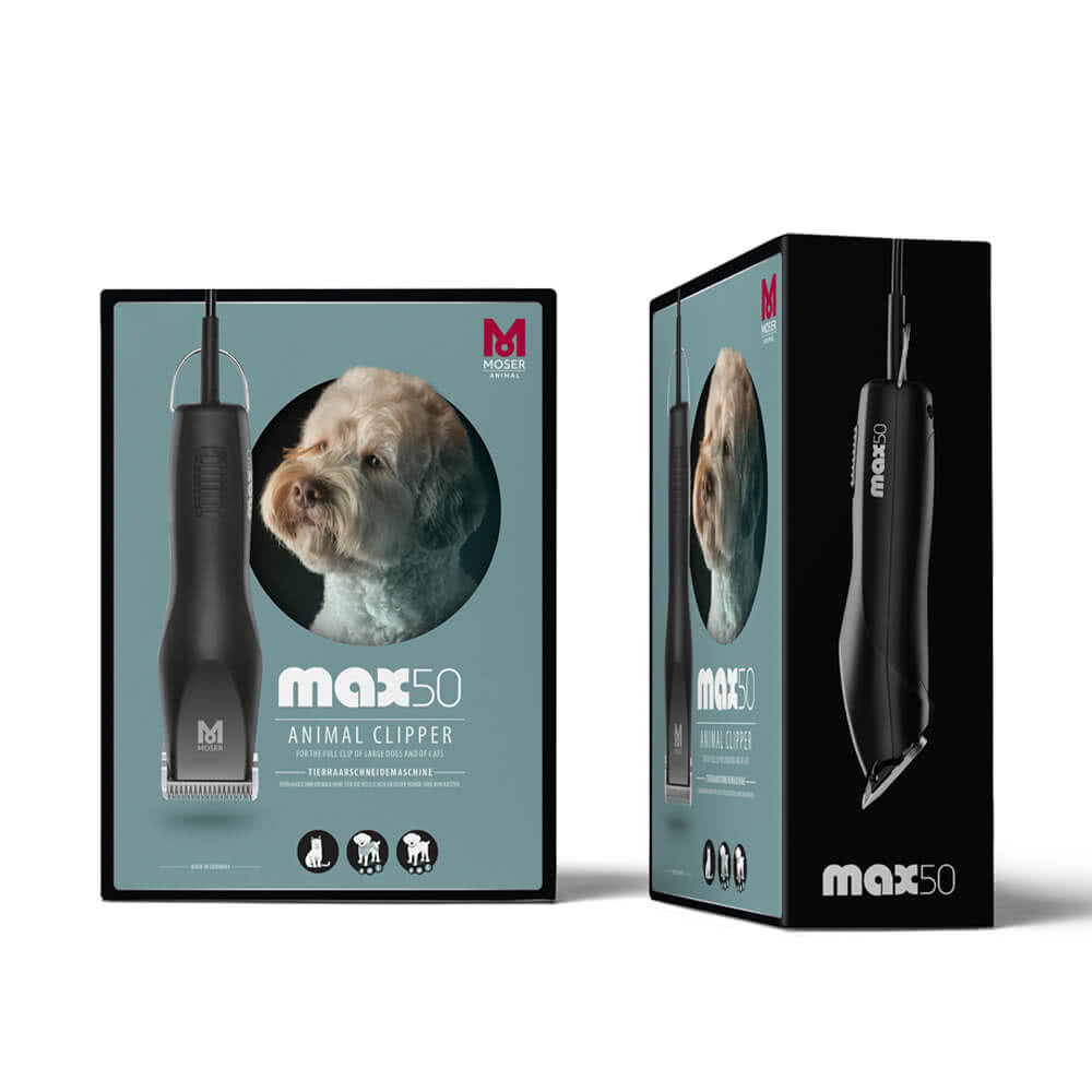 brosse chiens