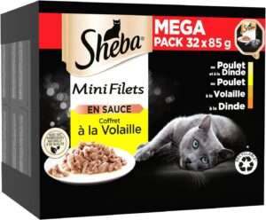 Eukanuba chat kitten - JMT Alimentation Animale