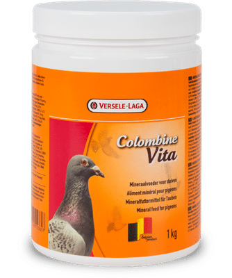 Mélange de graines pour pigeons - Elevage et sport - 25 kg