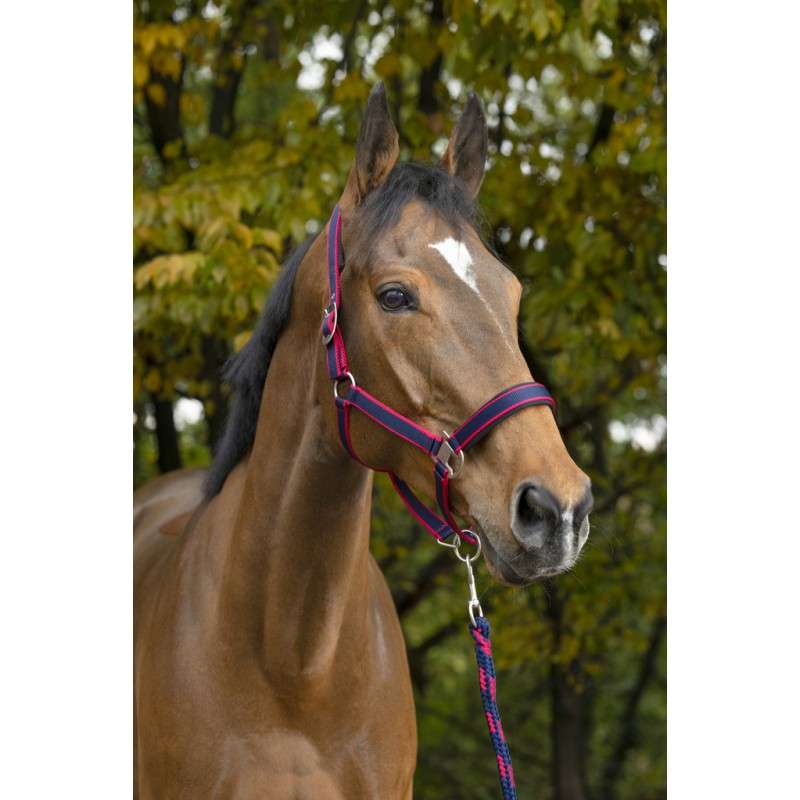Equipride Licol En Nylon Doublé Imprimé Cheval Avec Laisse Assortie Violet - Taille COB