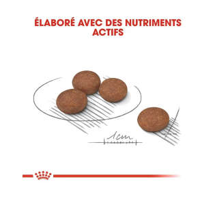 Croquettes Royal Canin Ccn Mini Digestive Care - Pour Chiens Adultes Petits Gabarits