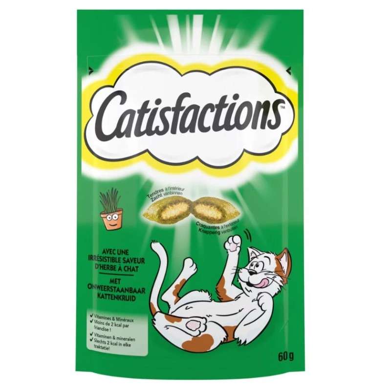 Catisfaction herbe à chat - JMT Alimentation Animale