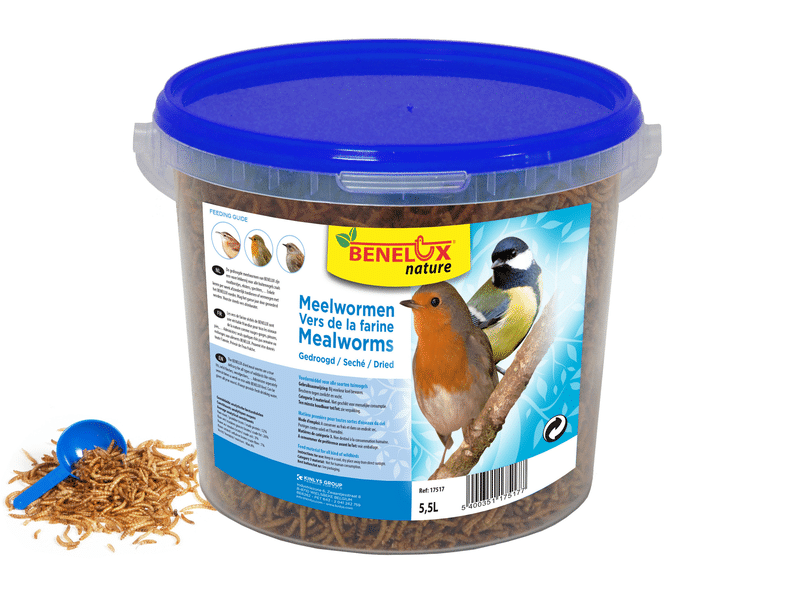 Vers de farine 1 kg Vita-Balance Acheter - Nourriture oiseaux de