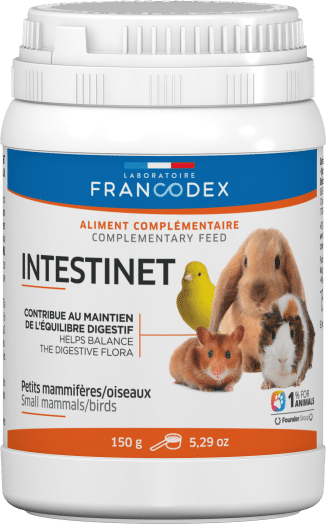 Francodex Seringues alimentaires oiseaux/rongeurs