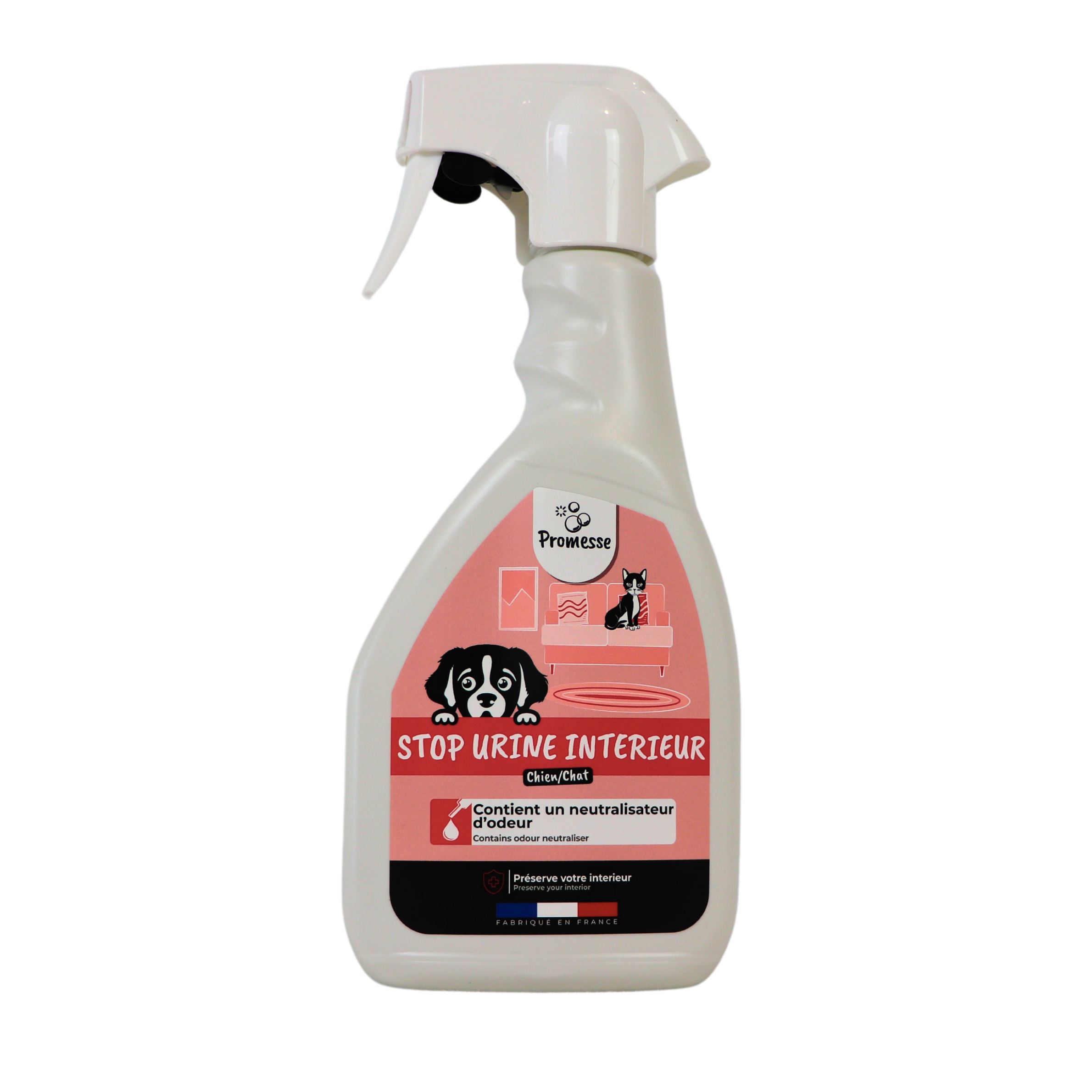 image of the product