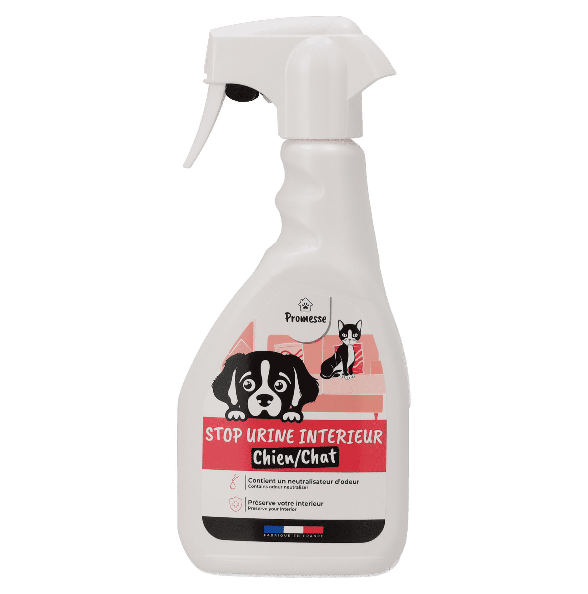 image of the product