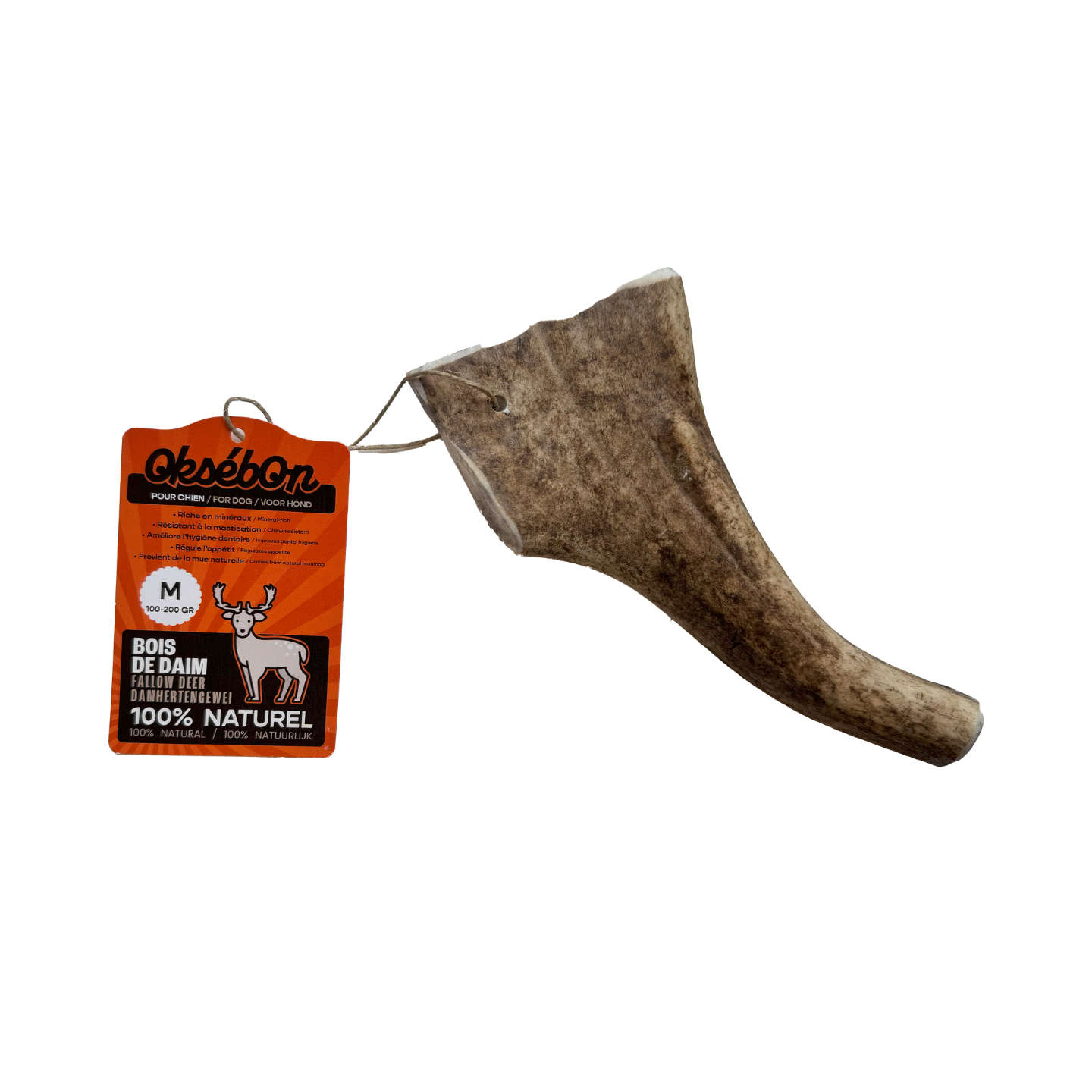 image of the product