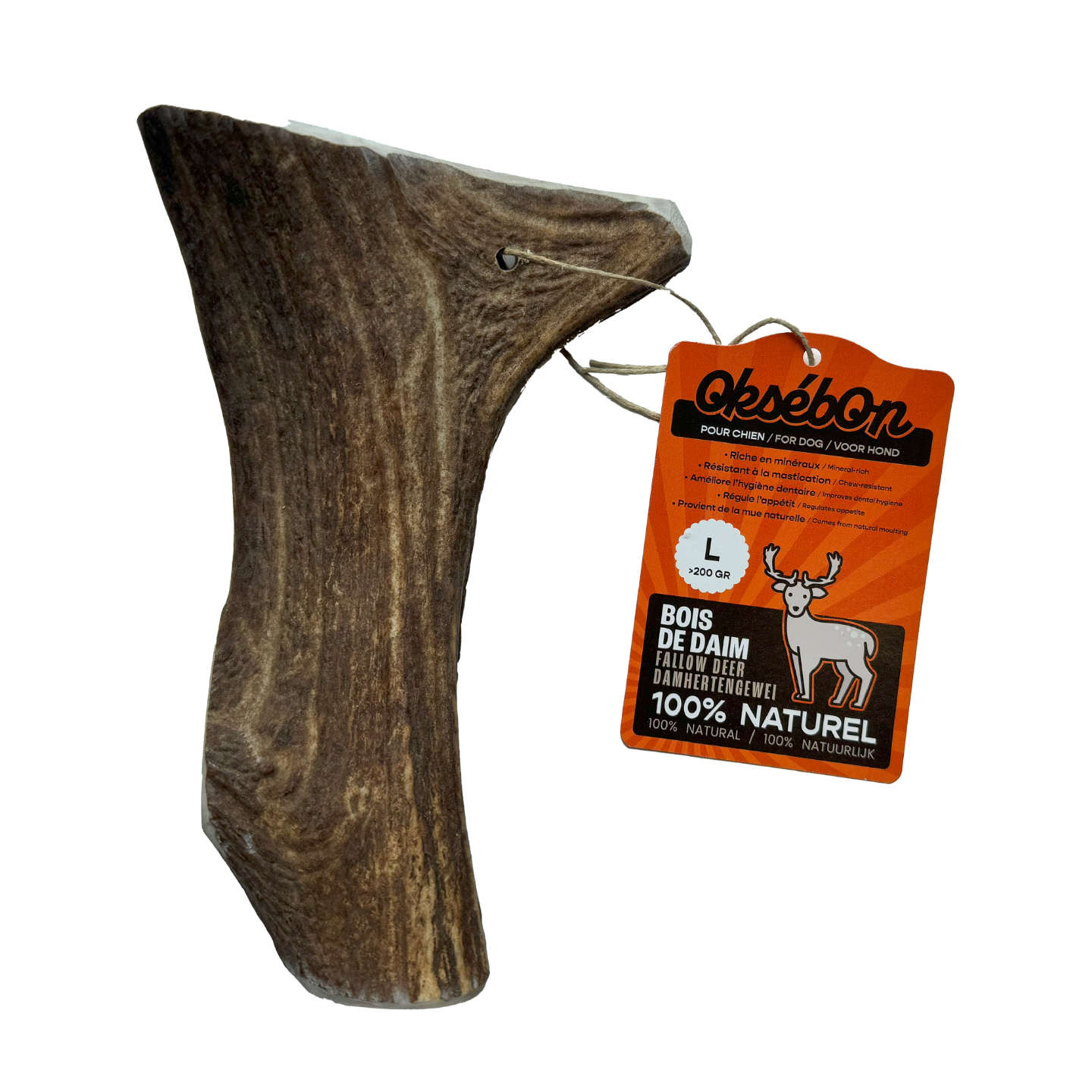 image of the product