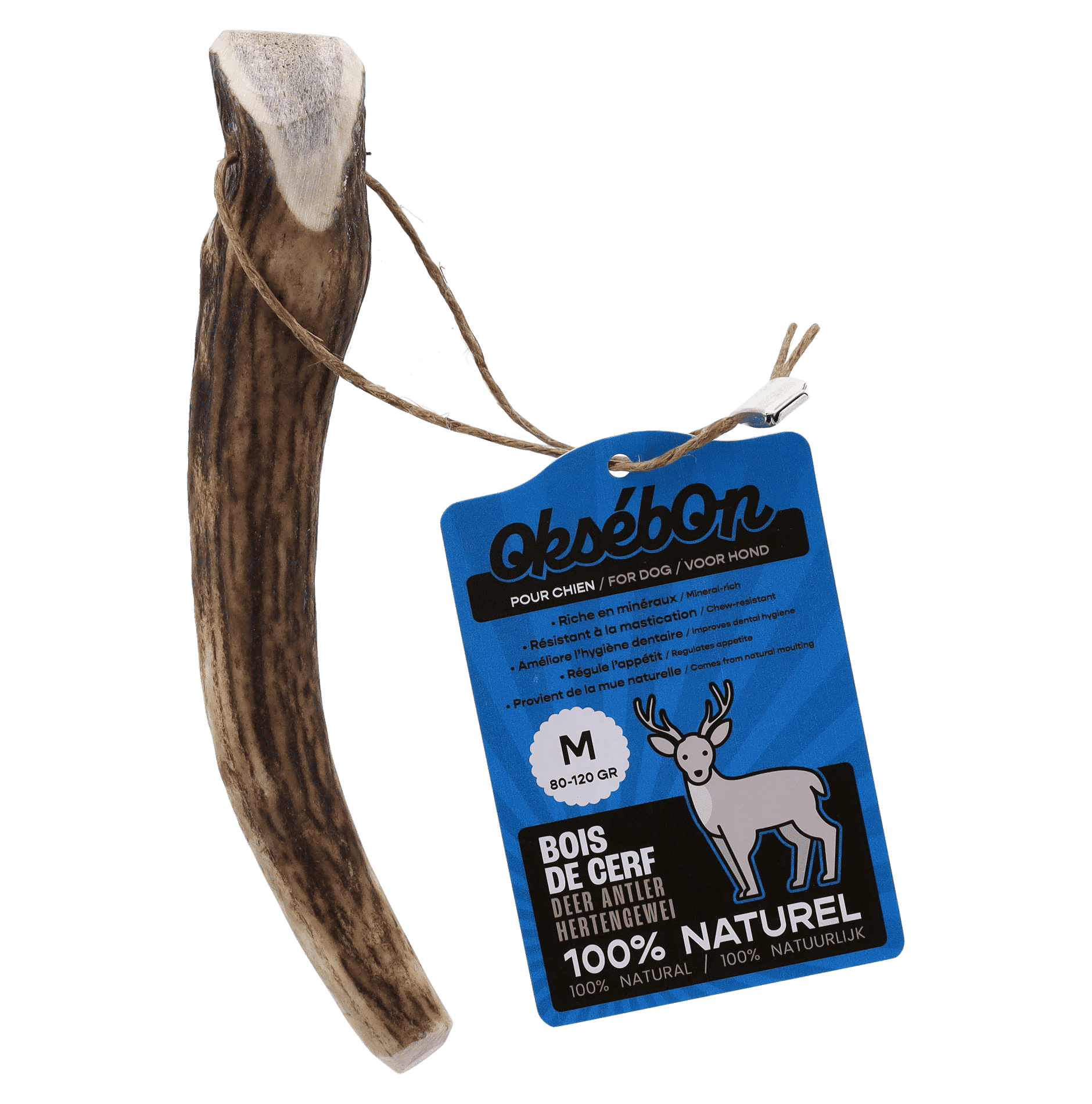 image of the product