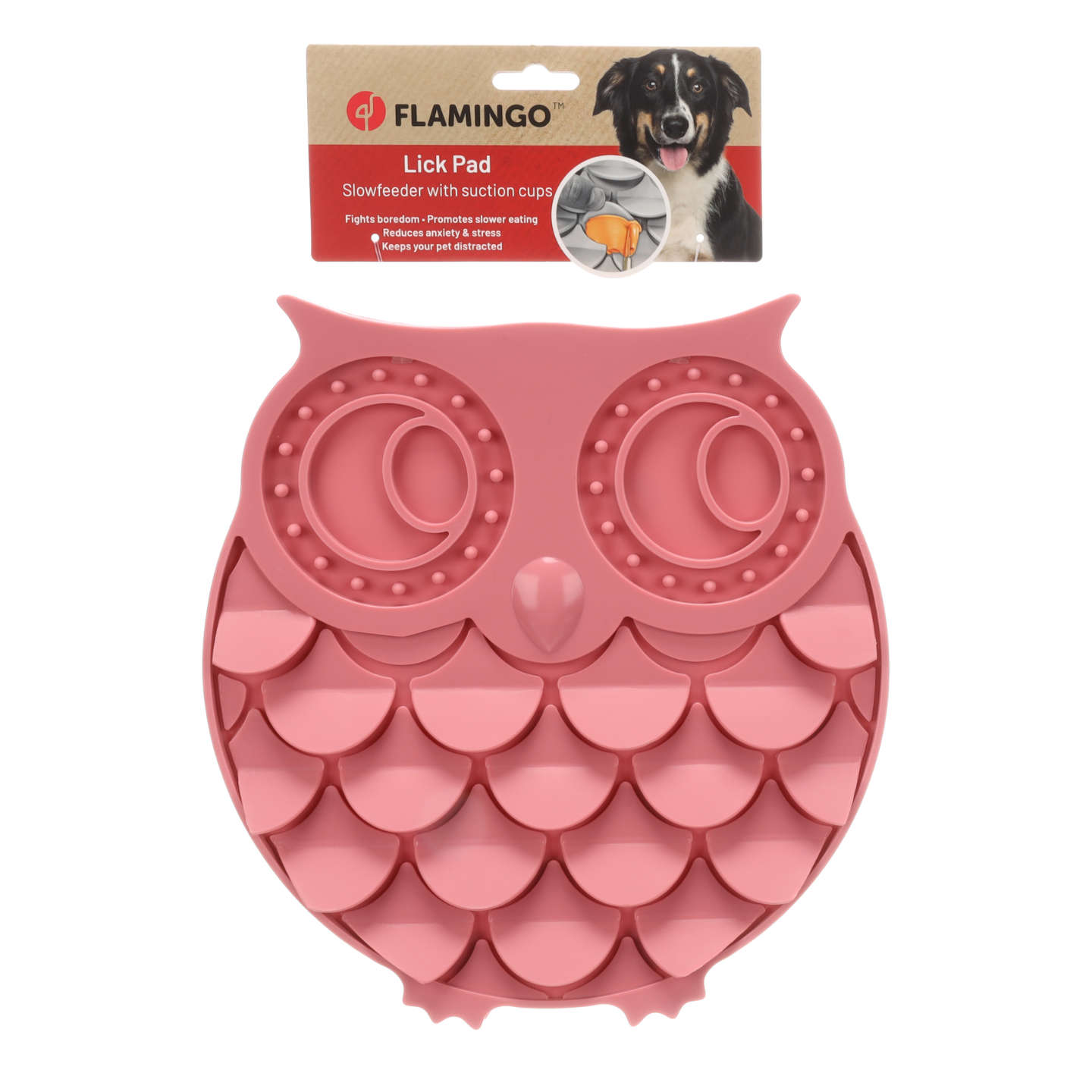 image of the product