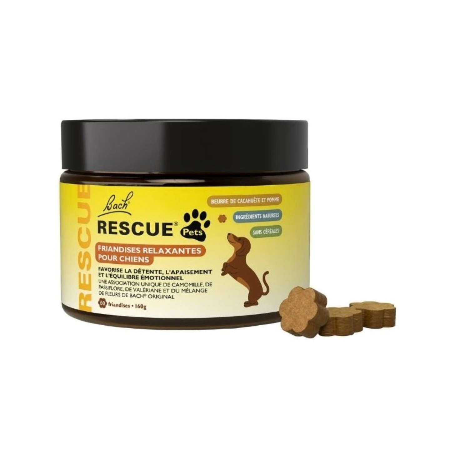 image of the product