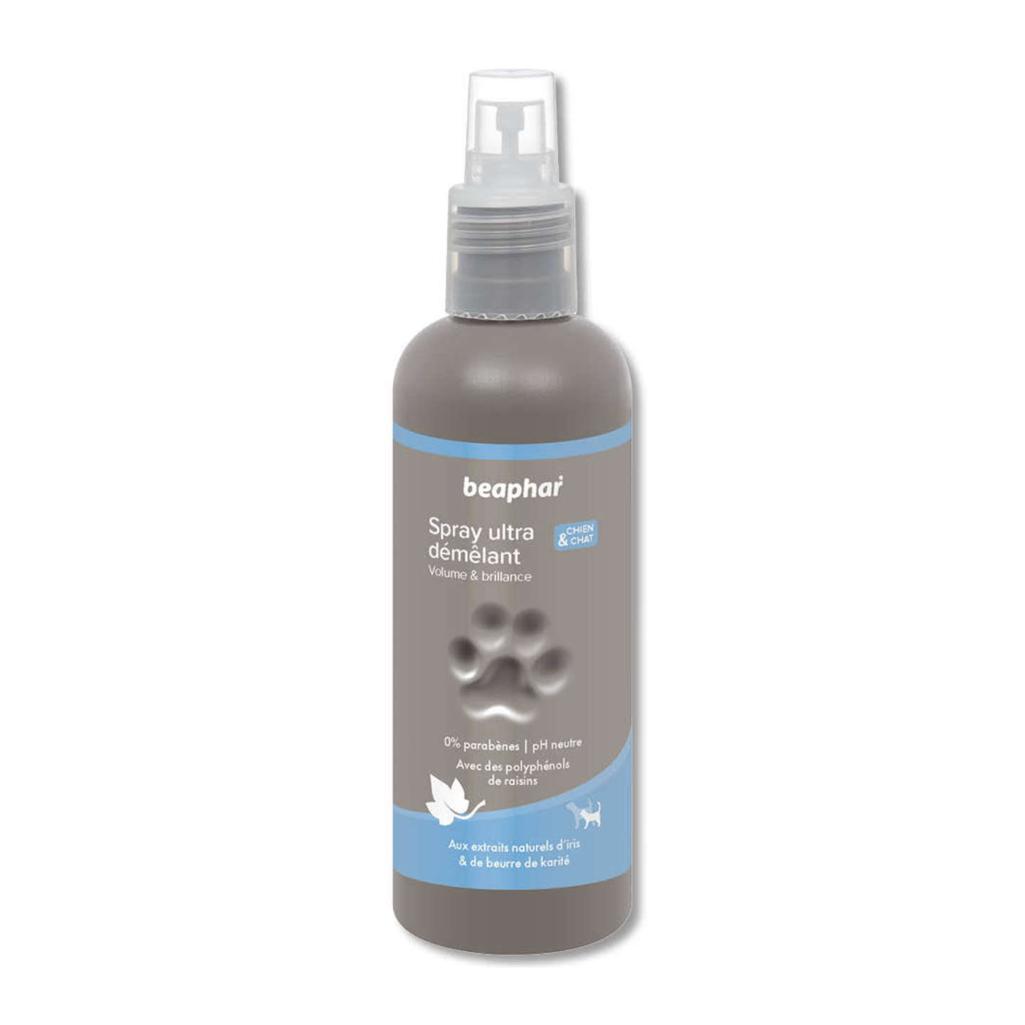 image of the product