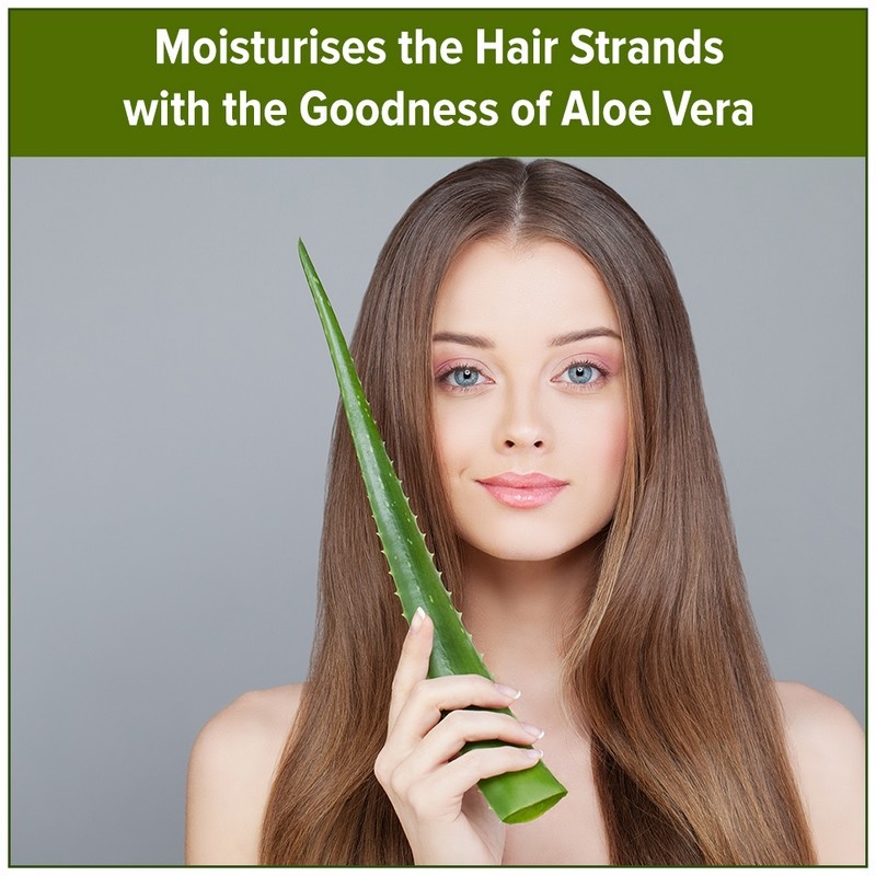 Fruiser Shampoo With Ginseng & Aloe Vera 1000ml: Buy Fruiser Shampoo With Ginseng & Aloe Vera 1000mlOnline at Best Price in India | Health and Glow (H&G) Fruiser Shampoo With Ginseng & Aloe Vera 1000ml: Buy Fruiser Shampoo With Ginseng & Aloe Vera 1000mlOnline at Best Price in India | Health and Glow (H&G)