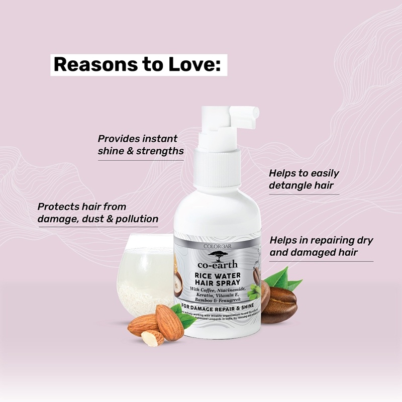 Buy ColorBar CoEarth Rice Water Hair Spray  For Damage Repair  Shine  Online at Best Price of Rs 41930  bigbasket