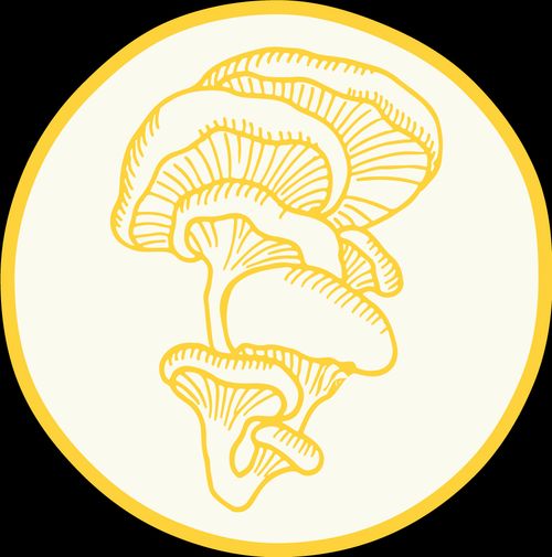 Logo 6
